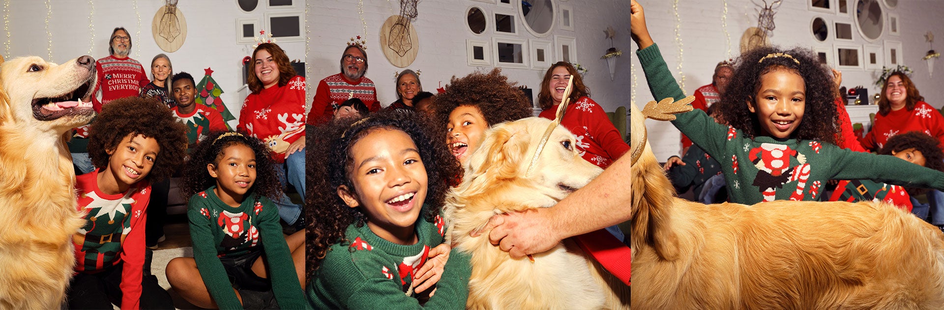 Pulls de Noël