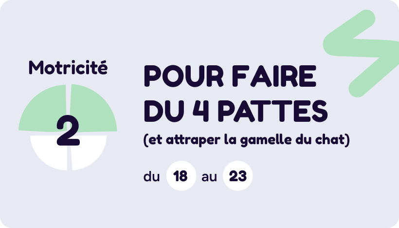 Motricité 2