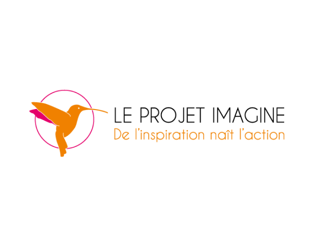 LE PROJET IMAGINE (France)