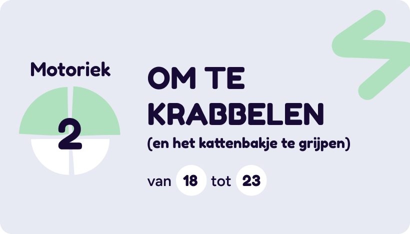 Motoriek 2